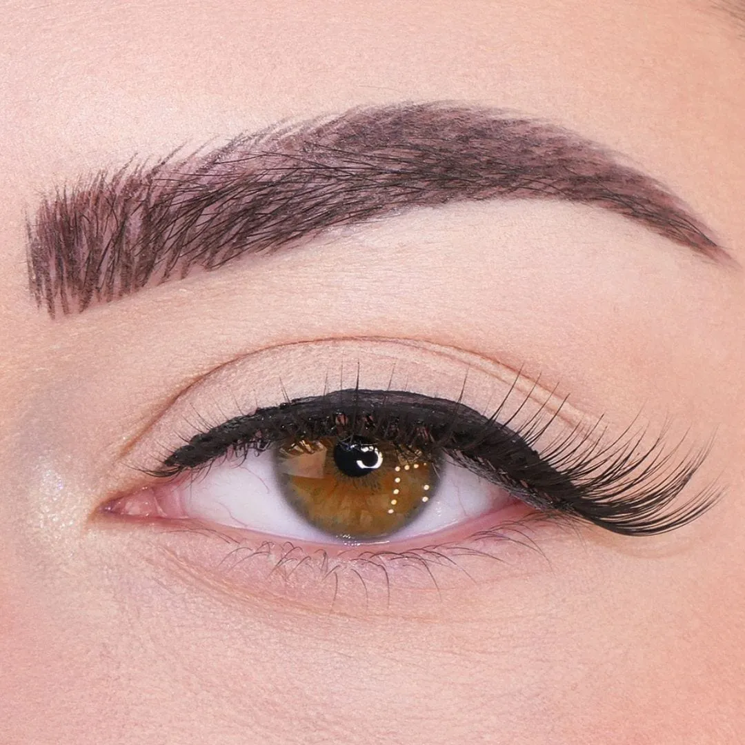 DAYDREAM Cat Eye Magnetic Lash Deluxe Kit