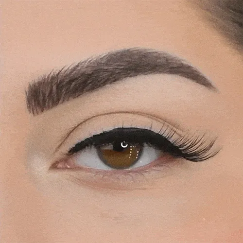 DAYDREAM Cat Eye Magnetic Lash Deluxe Kit