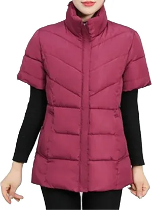 JEsilunmaMY Women's Short Sleeve Crop Puffer Vest Stand Collar Thick Down Coats with Pocket Winter Coat Warm Padded Jacket
