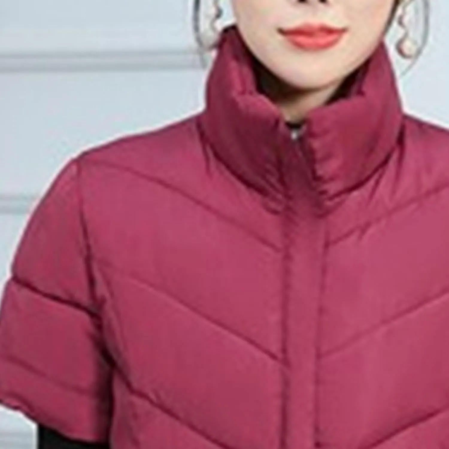 JEsilunmaMY Women's Short Sleeve Crop Puffer Vest Stand Collar Thick Down Coats with Pocket Winter Coat Warm Padded Jacket