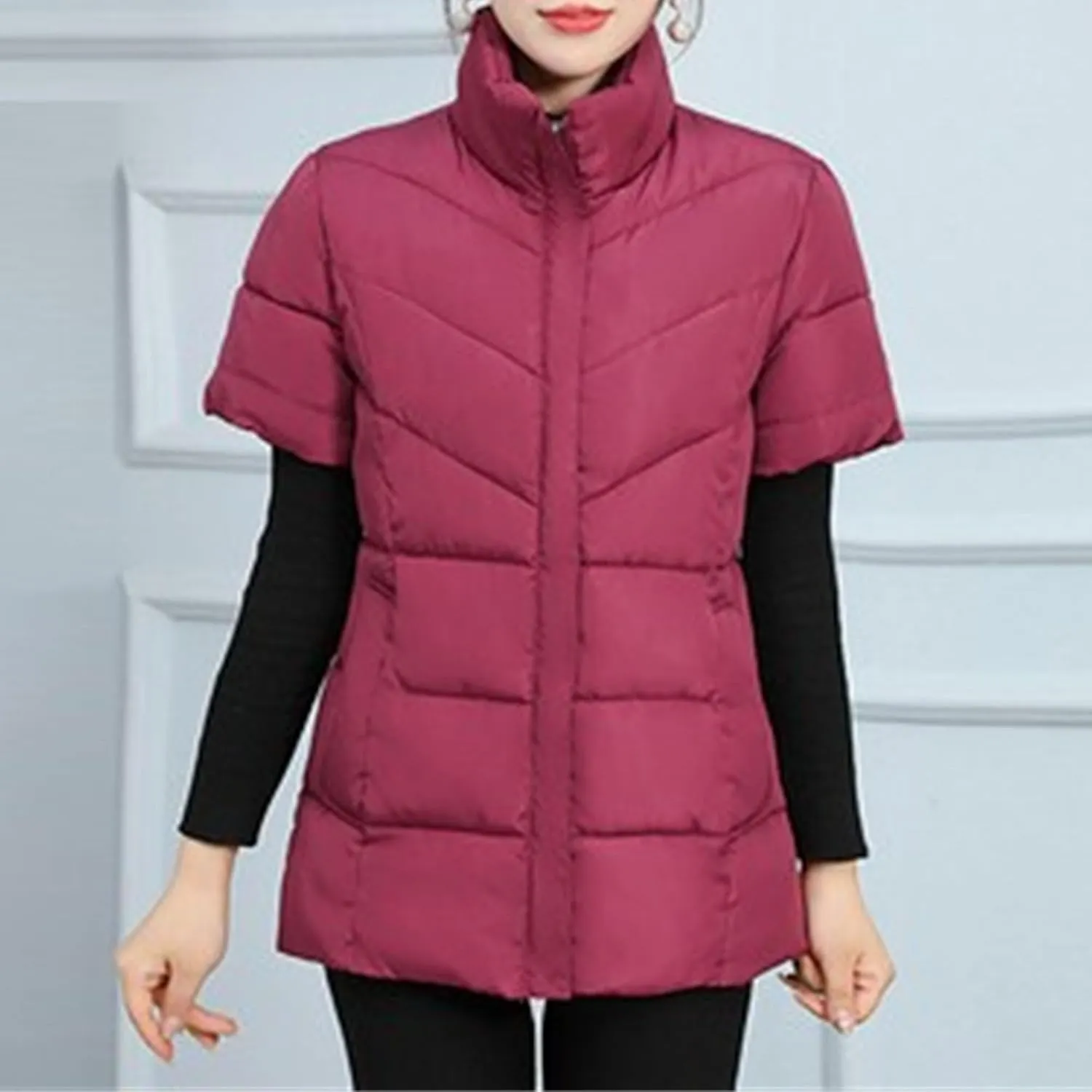 JEsilunmaMY Women's Short Sleeve Crop Puffer Vest Stand Collar Thick Down Coats with Pocket Winter Coat Warm Padded Jacket