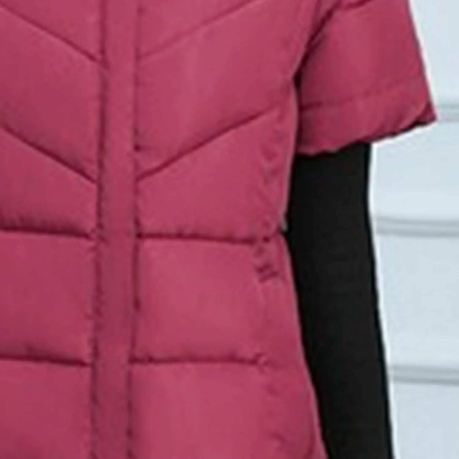 JEsilunmaMY Women's Short Sleeve Crop Puffer Vest Stand Collar Thick Down Coats with Pocket Winter Coat Warm Padded Jacket